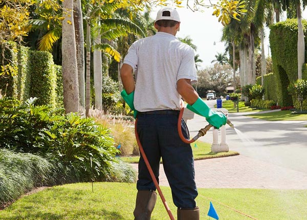 About New Hope AL Pest Control